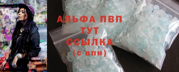 крисы Белокуриха