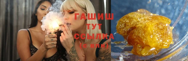 крисы Белокуриха