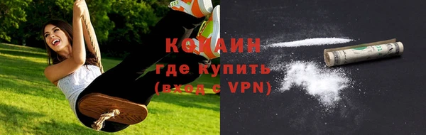 крисы Белокуриха
