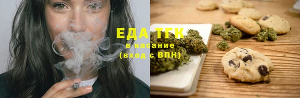 spice Богородицк