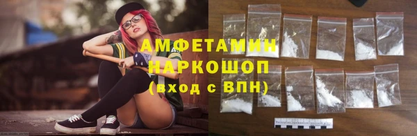 прущие грибы Беломорск