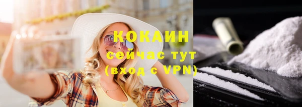 прущие грибы Беломорск