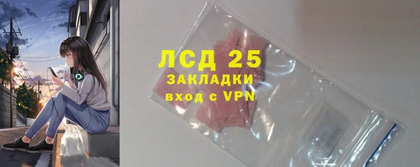 прущие грибы Беломорск