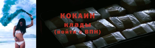 крисы Белокуриха