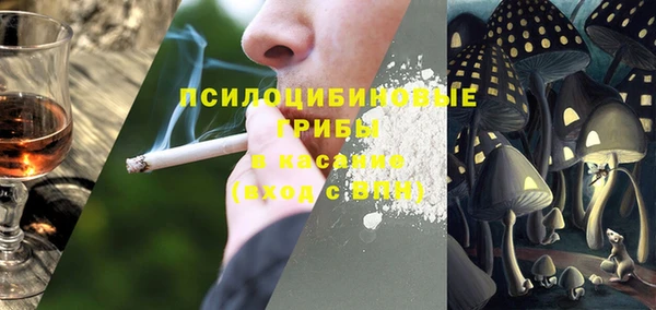 крисы Белокуриха
