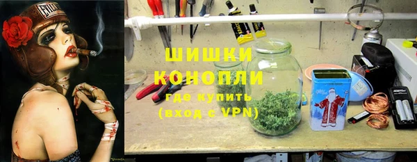 прущие грибы Беломорск